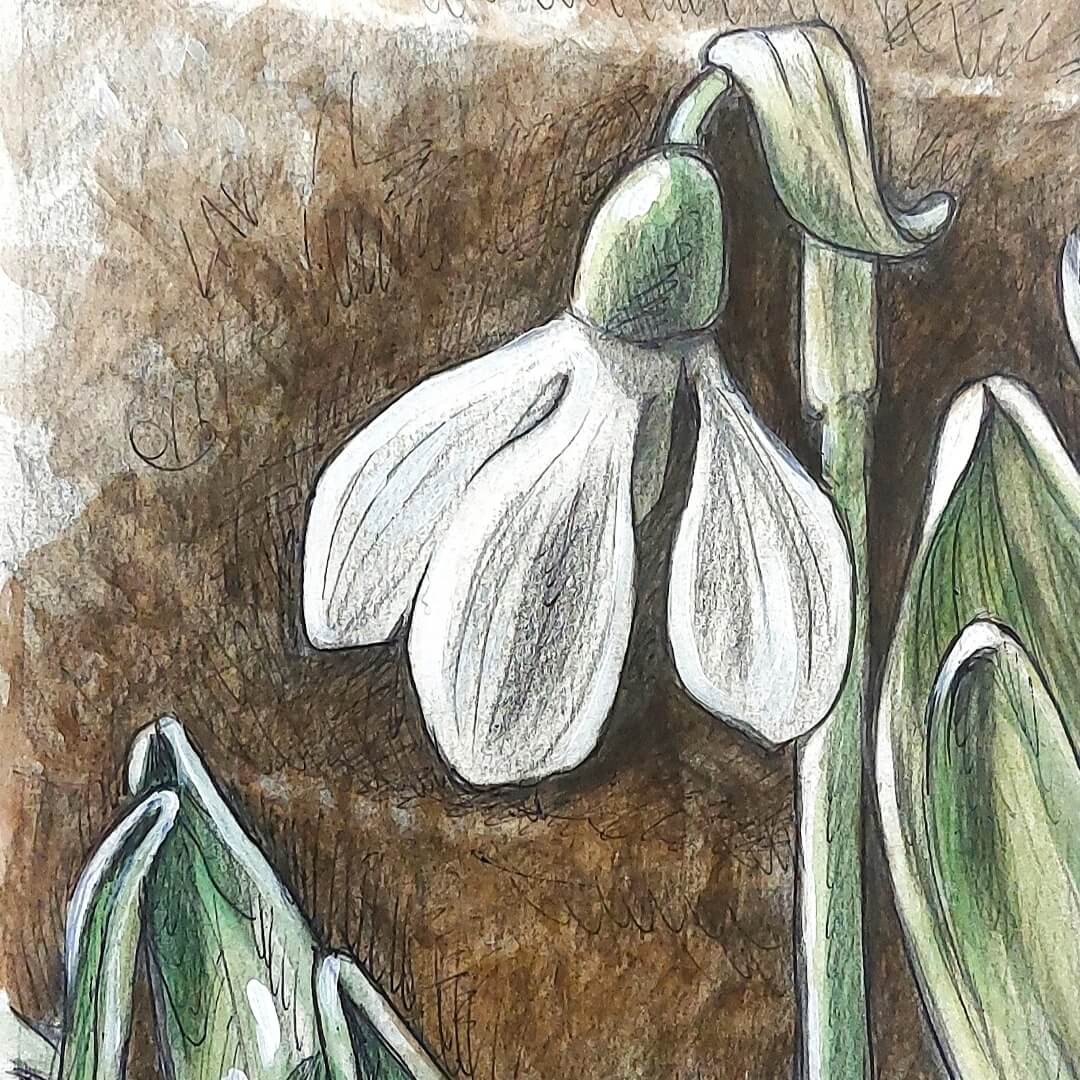 DAY 7 - Snowdrops - Original Daily Draw to Paint