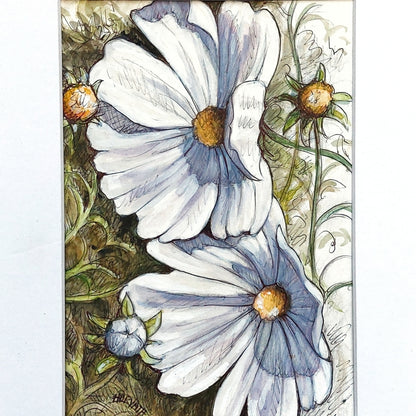 DAY 28 - White Cosmos - Original Daily Draw to Paint