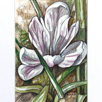 DAY 19 - White Crocus - Original Daily Draw to Paint