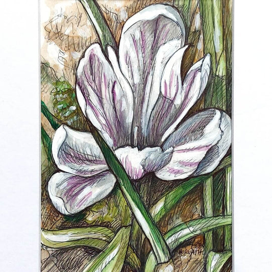 DAY 19 - White Crocus - Original Daily Draw to Paint