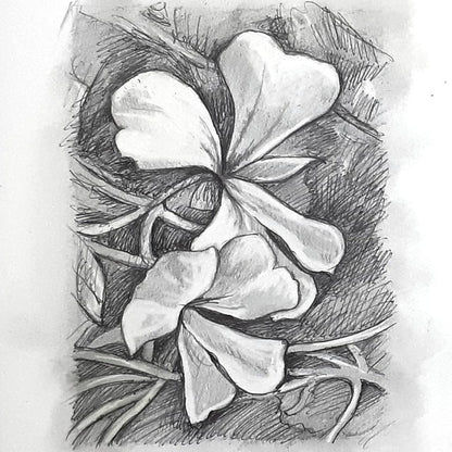 DAY 3 - White Geranium - Original Daily Draw to Paint