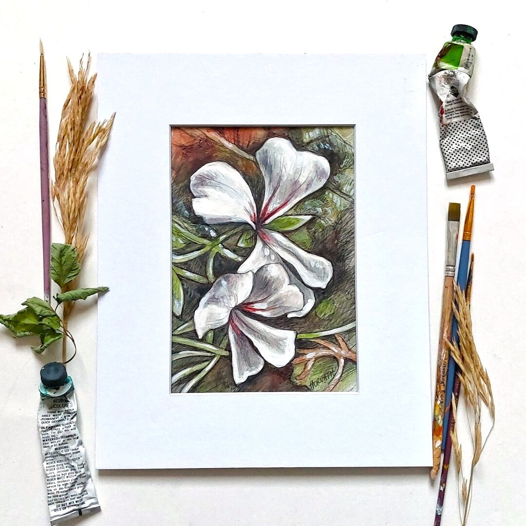 DAY 3 - White Geranium - Original Daily Draw to Paint