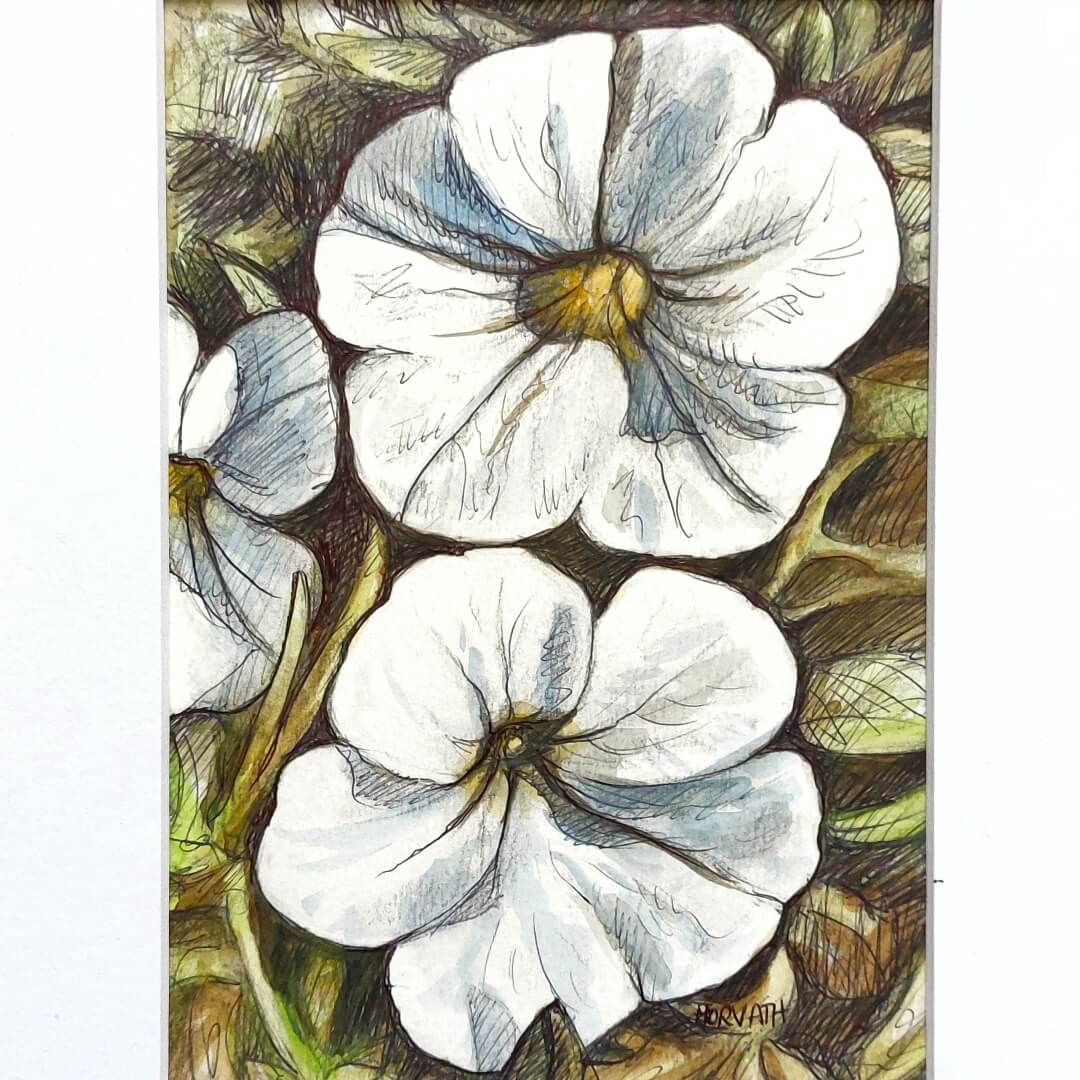 DAY 15 - White Petunias- Original Daily Draw to Paint