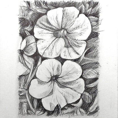 DAY 15 - White Petunias- Original Daily Draw to Paint