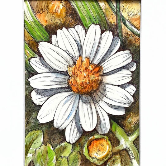 DAY 24 - White Zinnia - Original Daily Draw to Paint