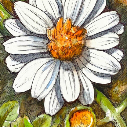 DAY 24 - White Zinnia - Original Daily Draw to Paint