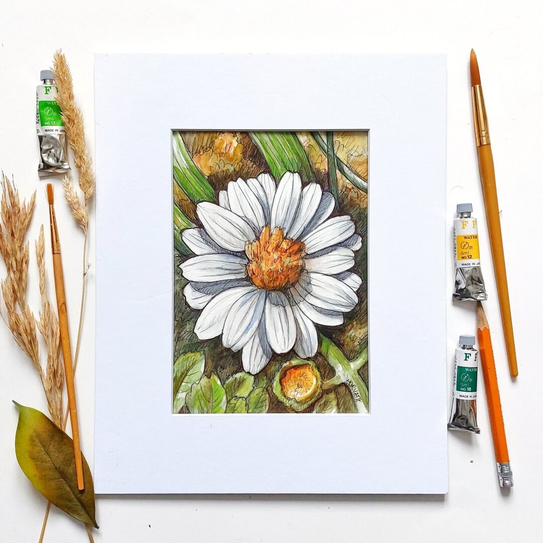 DAY 24 - White Zinnia - Original Daily Draw to Paint