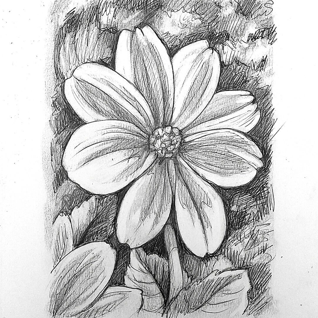 DAY 9 - Yellow Dahlia - Original Daily Draw to Paint