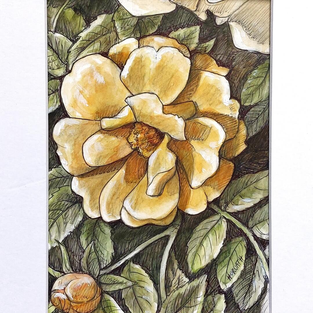 DAY 22 - Yellow Rose - Original Daily Draw to Paint