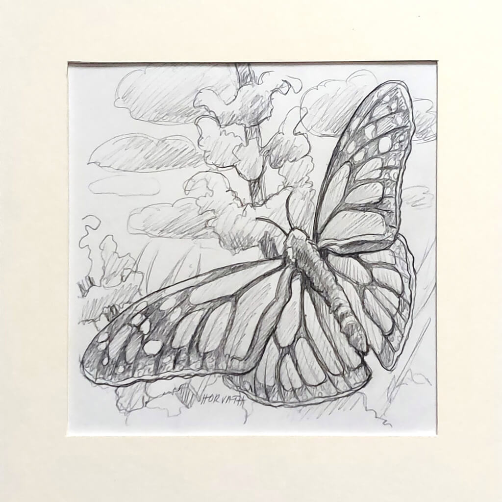 Butterfly - Original Sketch by artist Cathy Horvath Buchanan matted