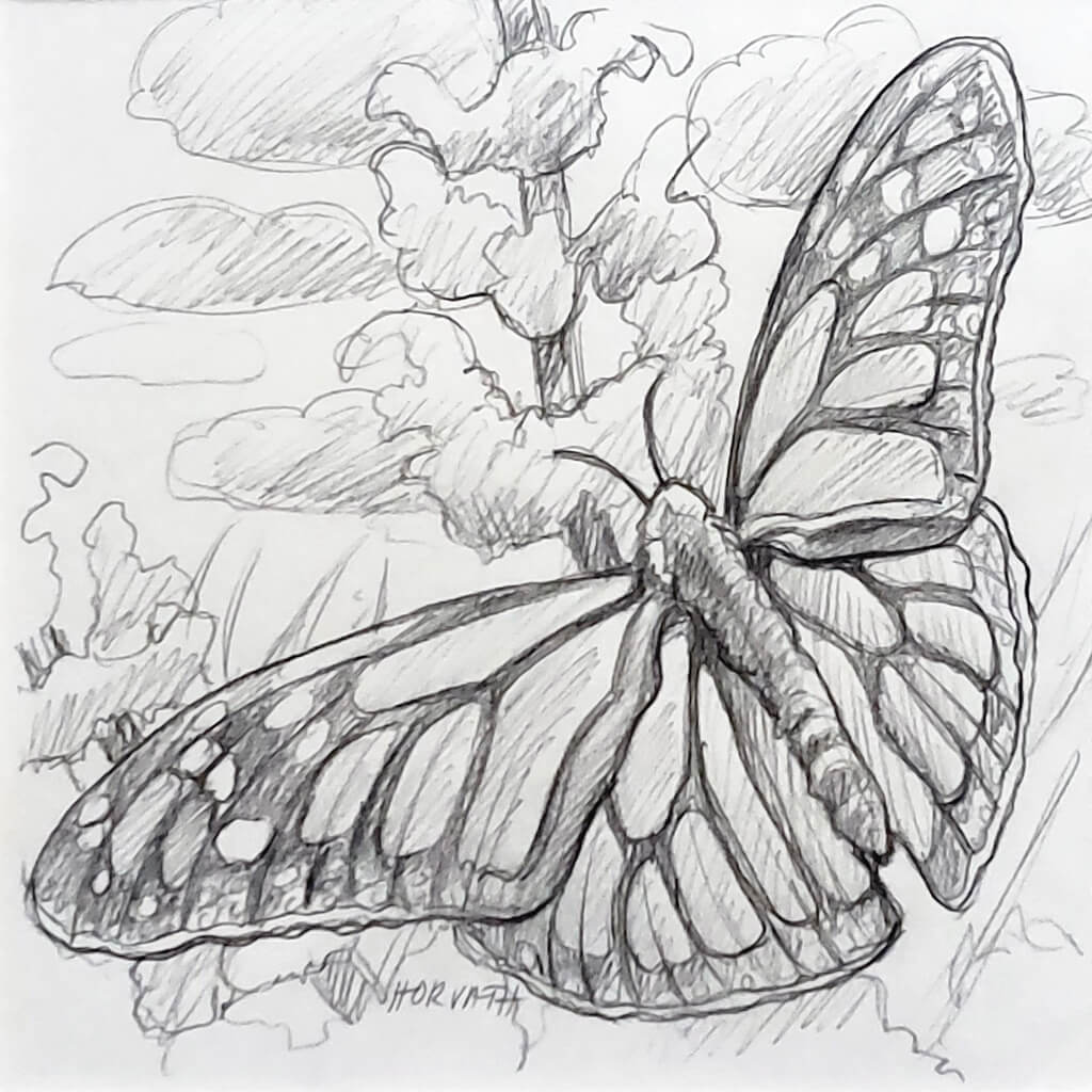 Butterfly - Original Sketch by artist Cathy Horvath Buchanan