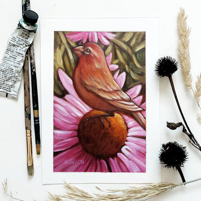 DAY 24 - Coneflower Finch Original Painting a Day