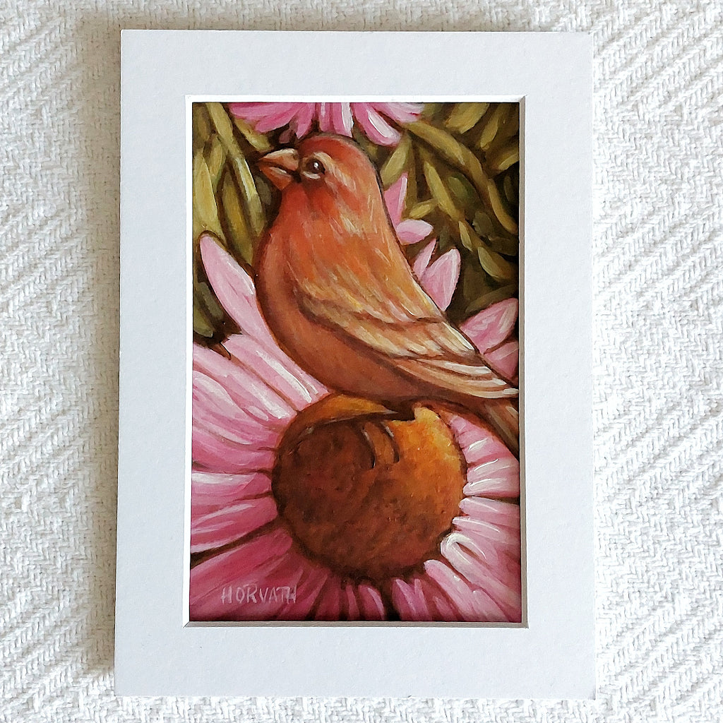 DAY 24 - Coneflower Finch Original Painting a Day