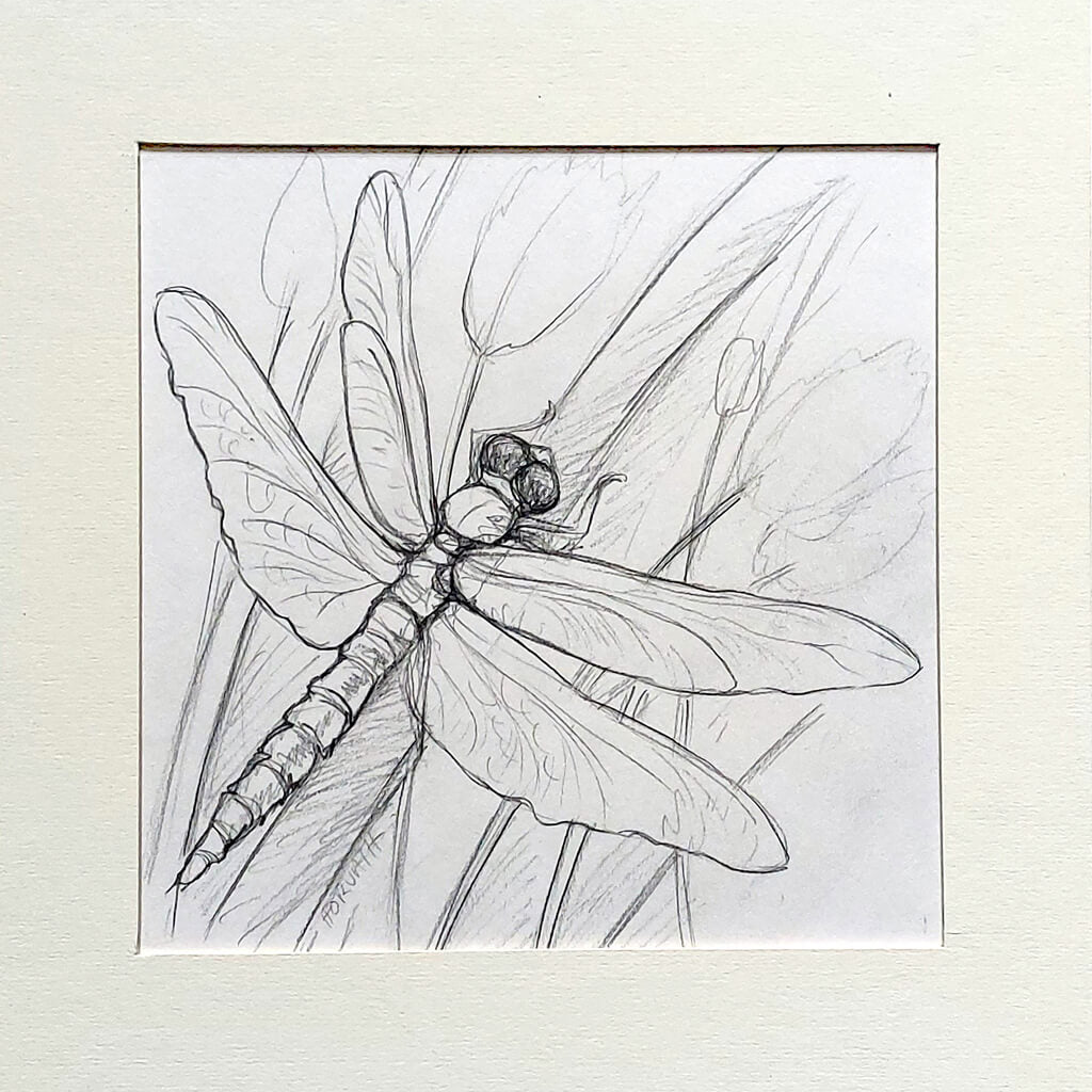 Dragonfly - Original Sketch by artist Cathy Horvath Buchanan matted