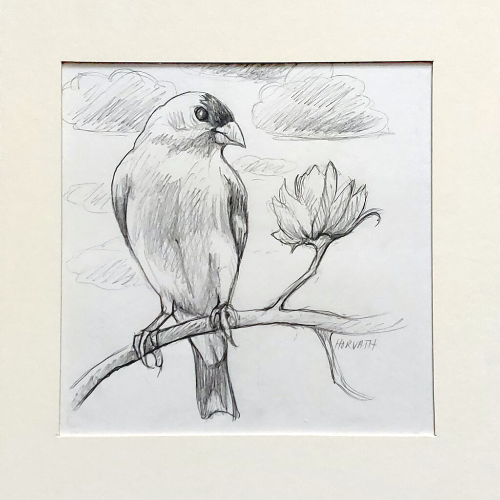 Goldfinch, Flights of Fancy, Sketch 6x6 by artist Cathy Horvath Buchanan matted