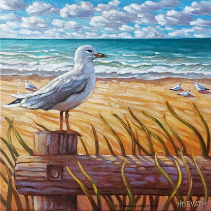 Main Beach Seagull, Horizons Original Painting 12x12
