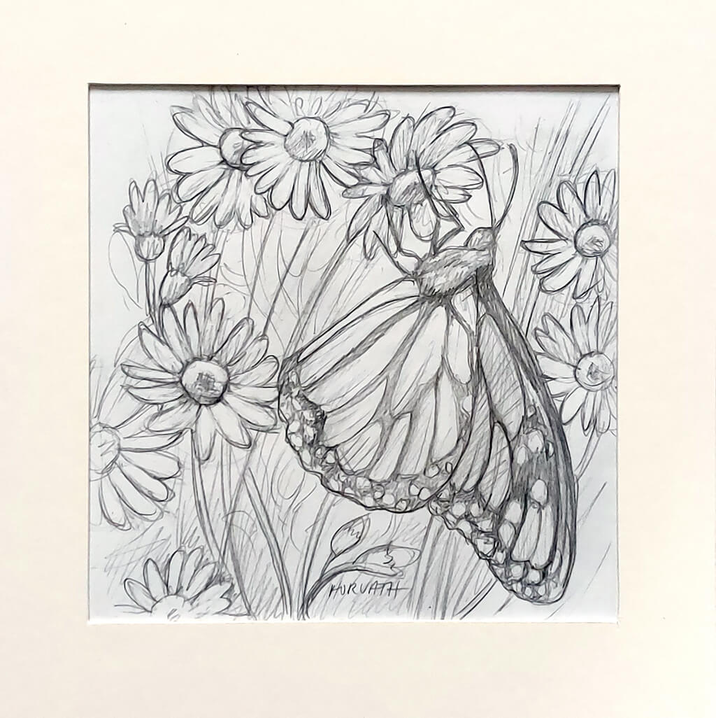 Monarch Daisies - Original Sketch by artist Cathy Horvath Buchanan matted