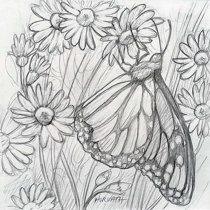 Monarch Daisies - Original Sketch by artist Cathy Horvath Buchanan