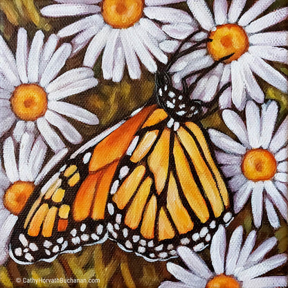 Monarch Wild Daisies - Original Painting by artist Cathy Horvath Buchanan