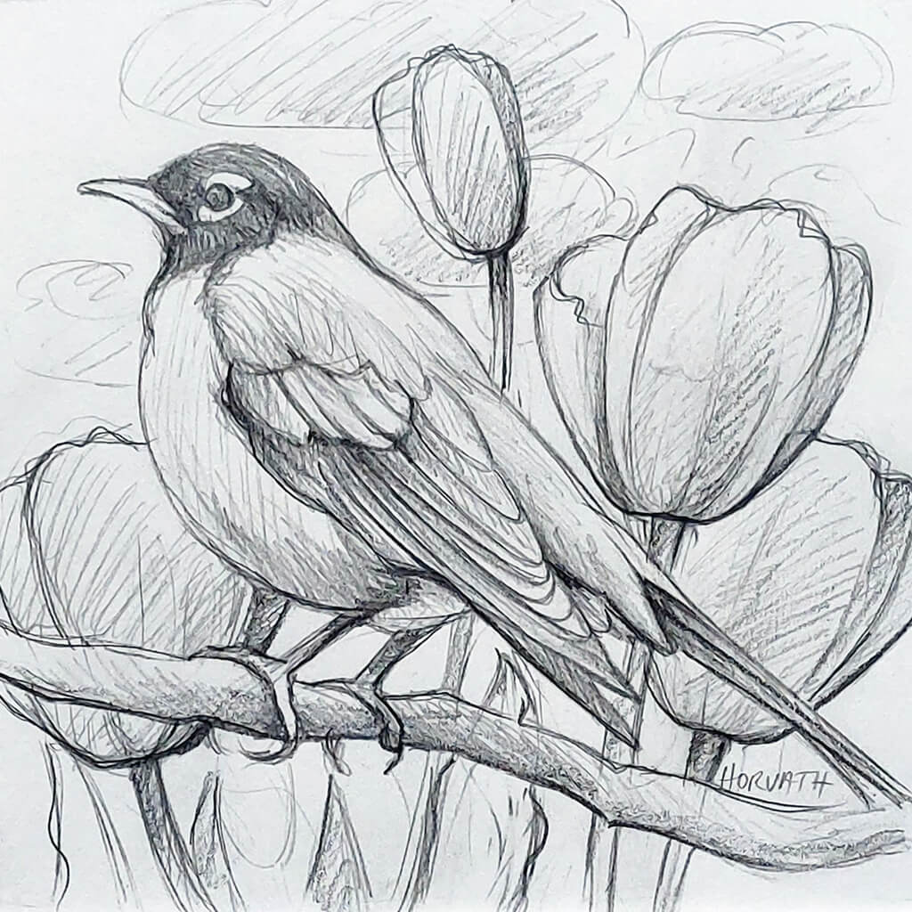 Robin Tulips - Original Sketch by artist Cathy Horvath Buchanan