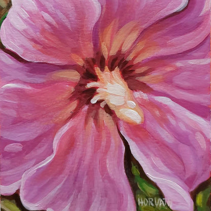DAY 1 - Rose of Sharon Original Painting a Day